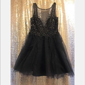 BASIX Sequence Bodice Flare Dress